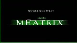 THE MEATRIX