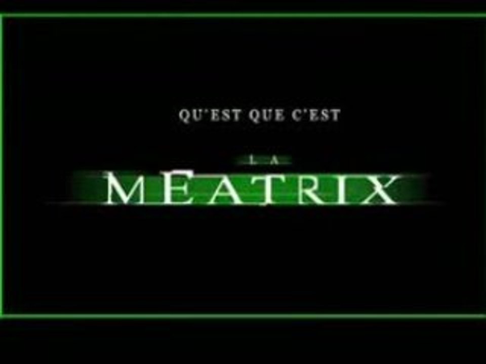 THE MEATRIX