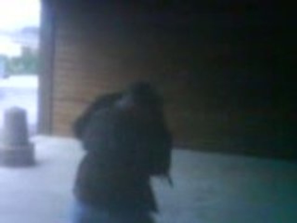 Baston n°2