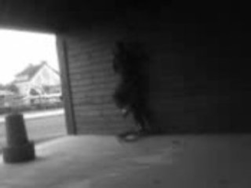 Ds le mur en skate