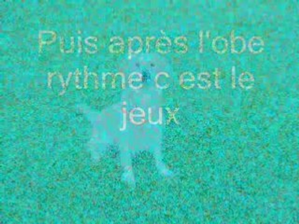 Shana en obé rythmé