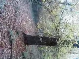 vtt saut levée wheeling