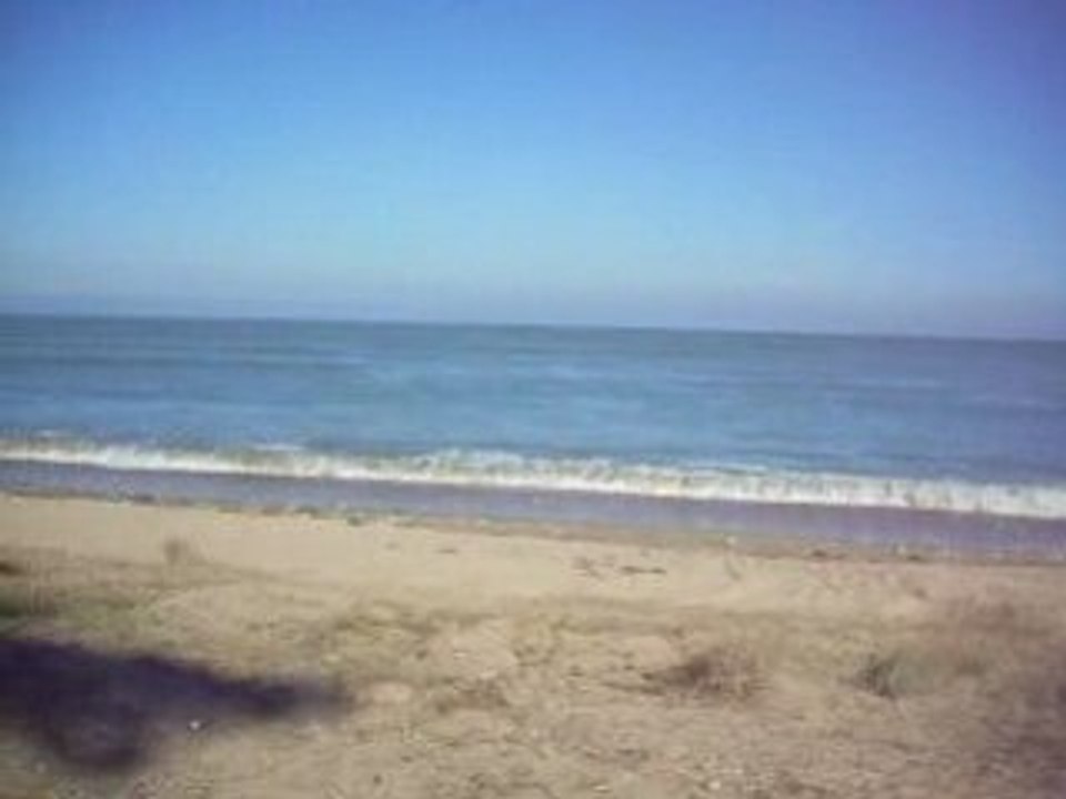 2008 octobre oléron 026