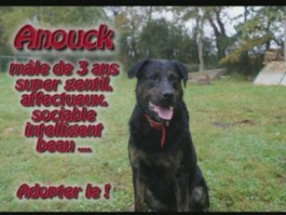 Anouck