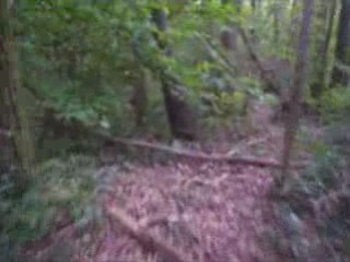 Quad sur sentier SMC 250