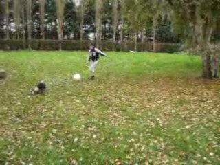 le chien qui joue au balon rond