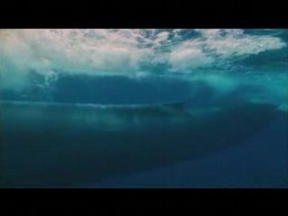 La Ballena Azul