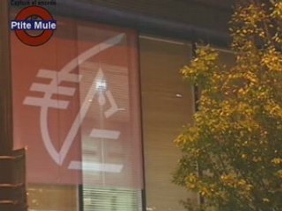 L'écureuil porte plainte