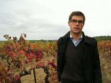 Les conseils d'Aurélien, en BTS viticulture-oenologie