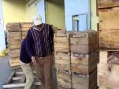 ISPARTA EĞİRDİR AKDOĞAN KÖYÜ Soğuk hava deposu