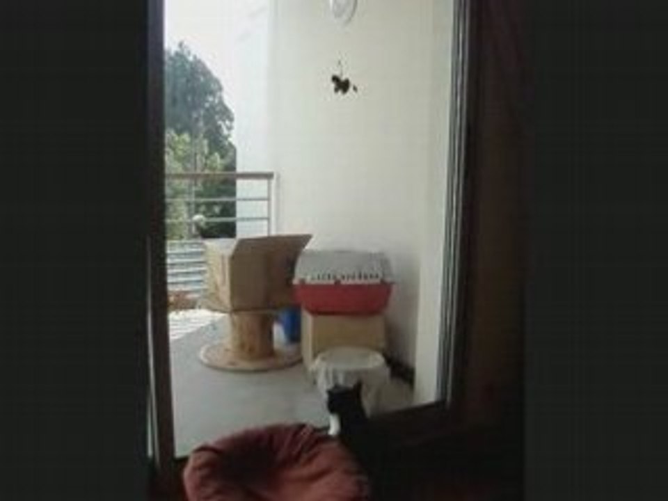 Tipunch à l'endroit!!