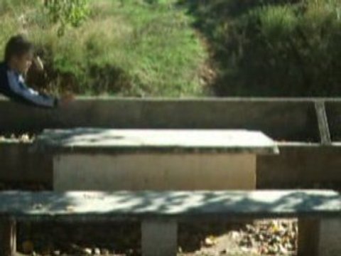 trailer 1º sampler king traceurs