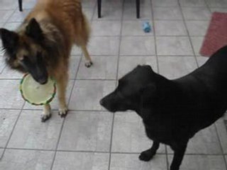 Kira et Tania