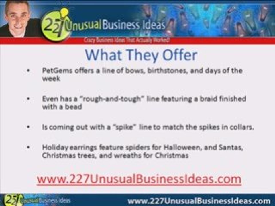 Unusual Business Idea Selling Jewelry To Pets