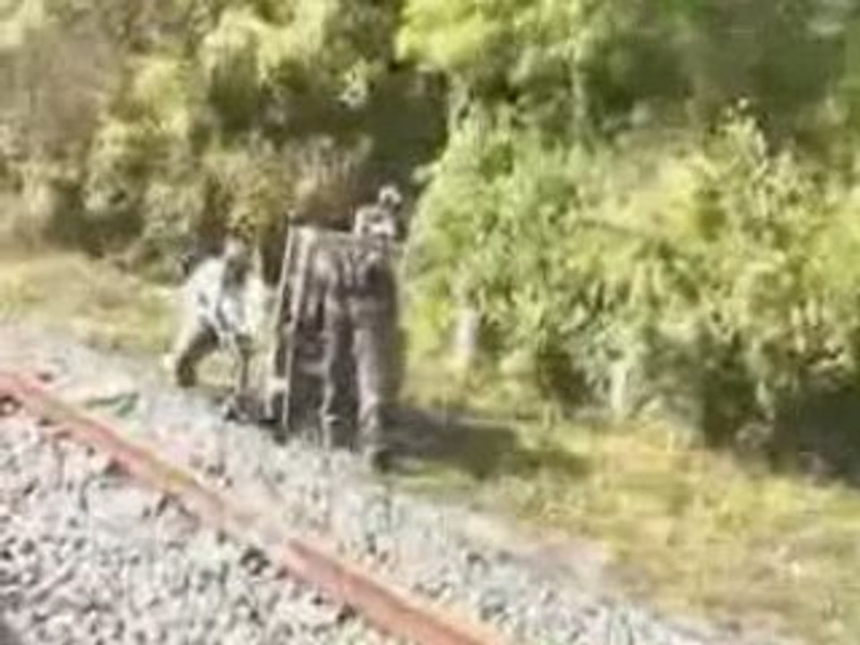 Lapins camos 1ere partie oct