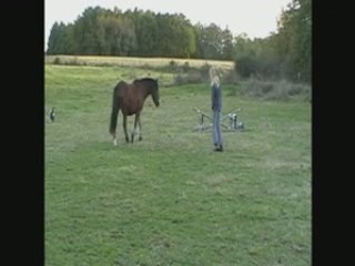 Séance en cordelette