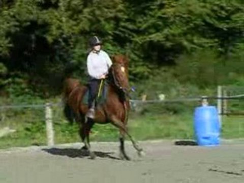 Stage de cso Judy mardi 28 octobre 2008