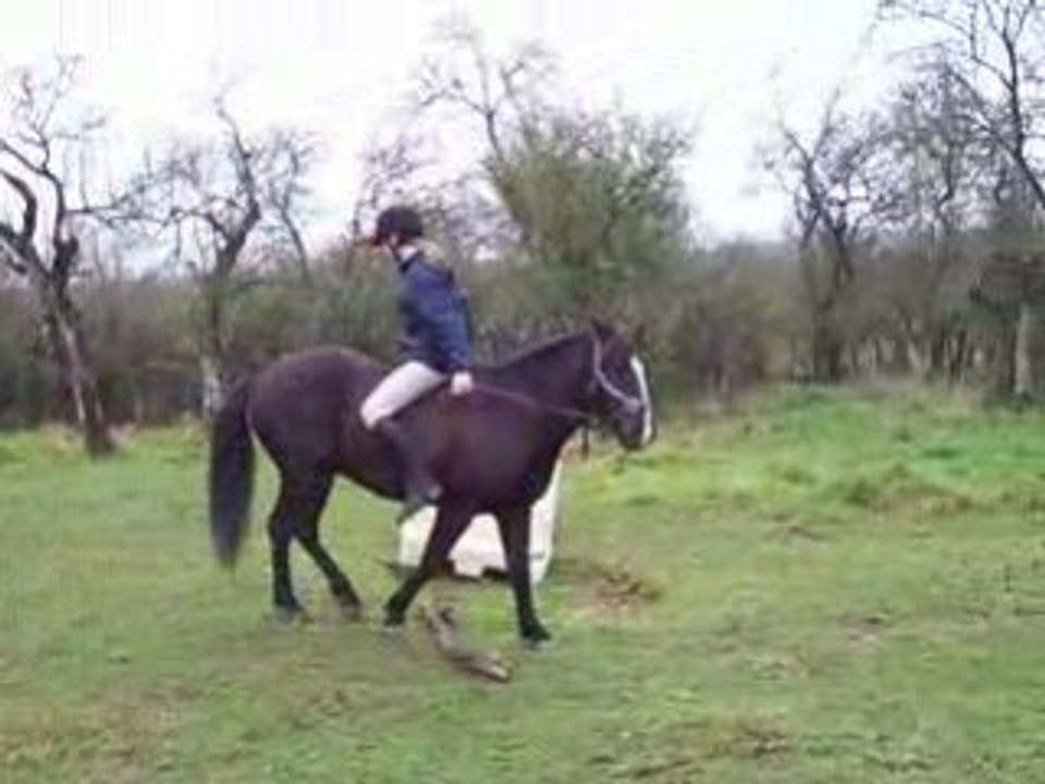 A l'envers a poney ^^