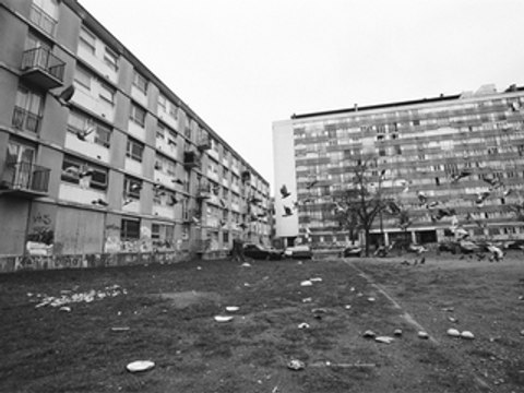 Exclu Shaolyn Gen Zu - L'hymne Des Bosquets Clip