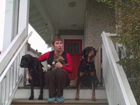 Retire a Millionaire Find Your Best Business Opportunity