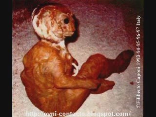 Aliens photos - What are Fake & What are Genuine