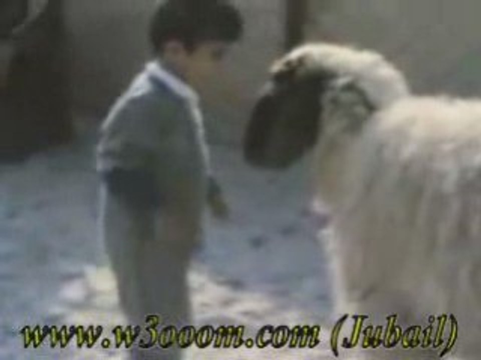 Kido_1