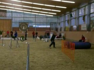 Jumping équipe Vanessa et georges