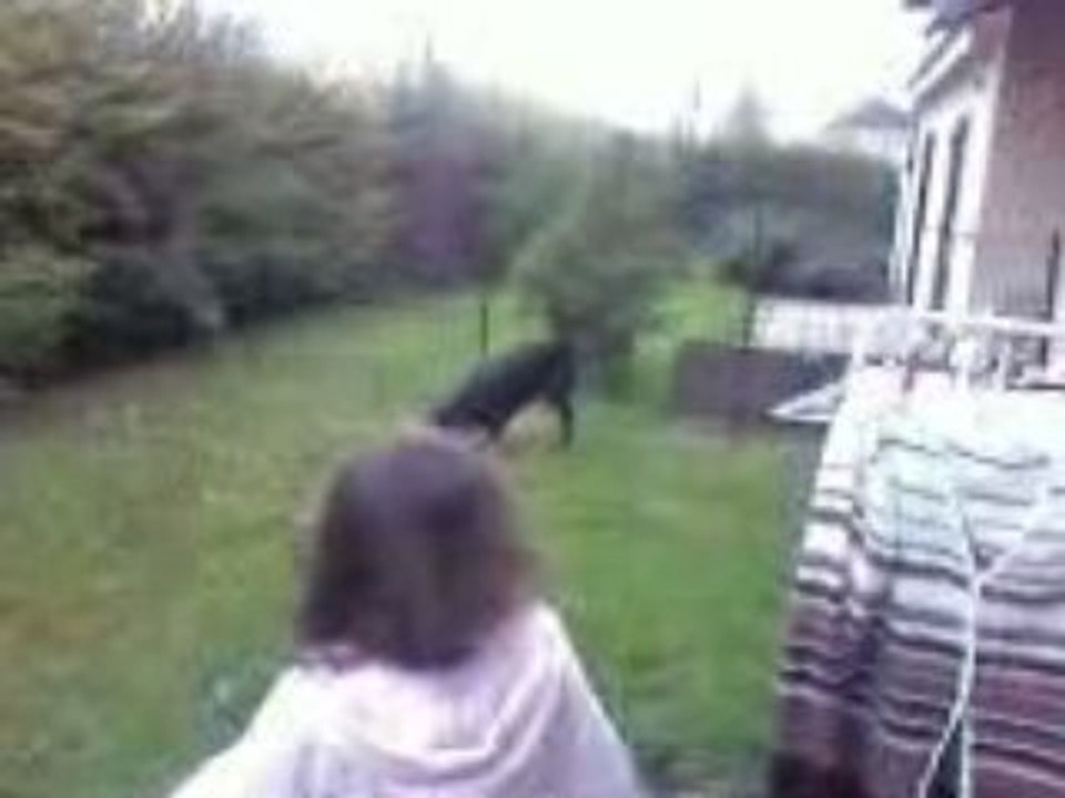 Vidéo0154