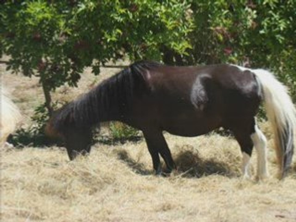 Photos et vidéos en vrac!