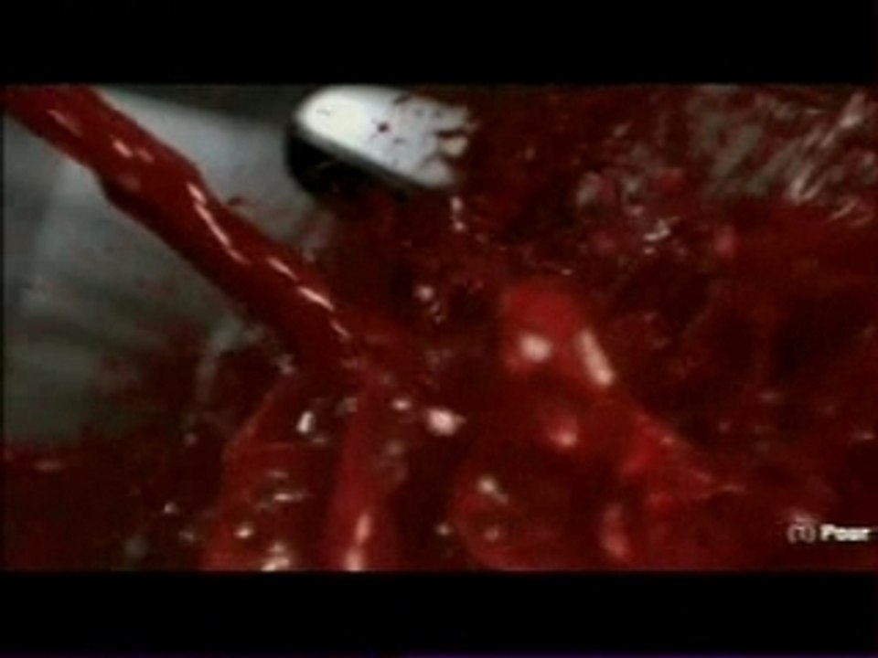 Pub fiat bravo  pub 08