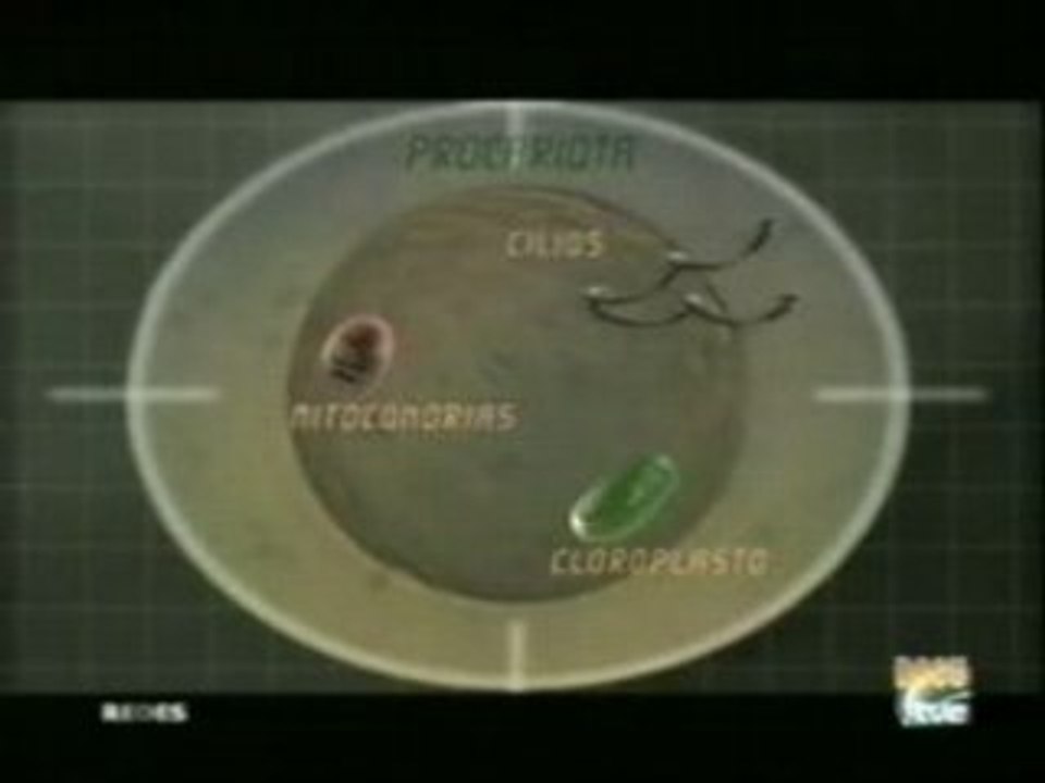 Origen de la vida