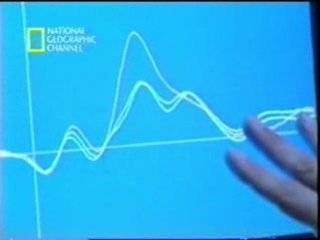 P300: Huellas cerebrales (Detector de mentiras)