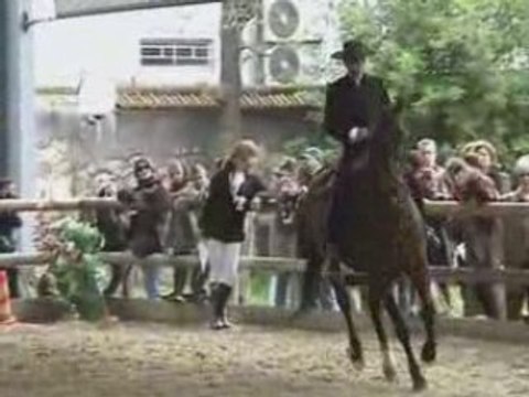 Lusitano Dressage Chevaux Iberiques par Paulo Galiza