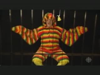 Le perroquet et le stress - 3600 secondes d'extase