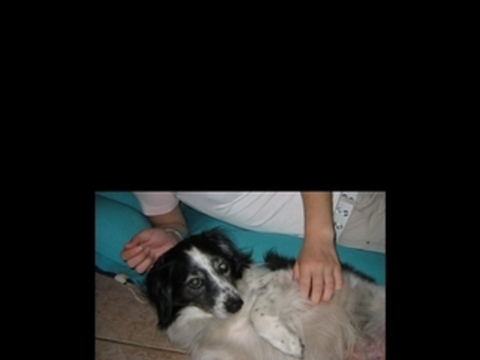 Petit historique de la 312