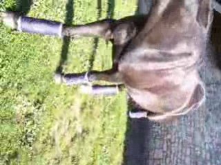 Paname et ses protecs