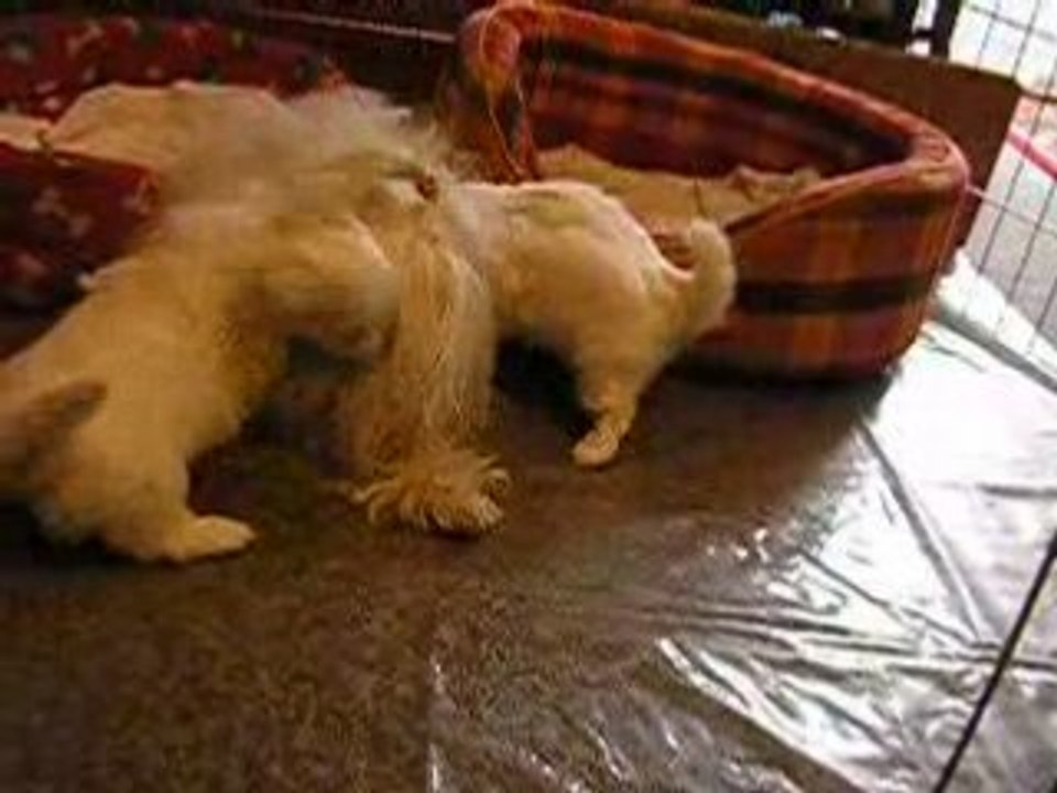 Diégo et Dylan jouent