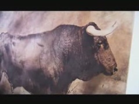 FIGURES LIBRES 1.3 et 1.4