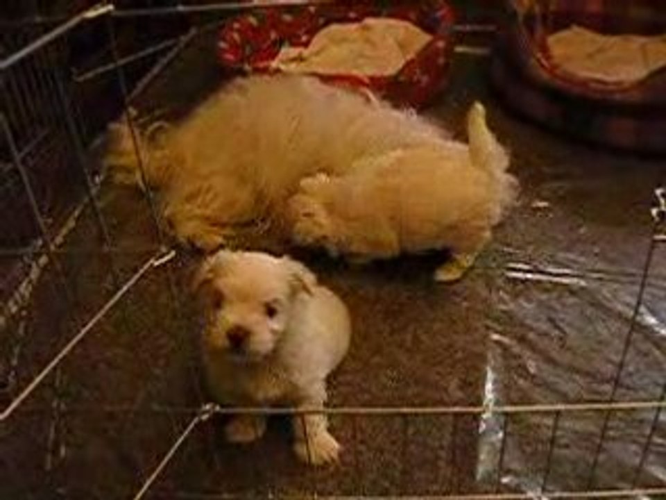 Diégo et Dylan jouent 2