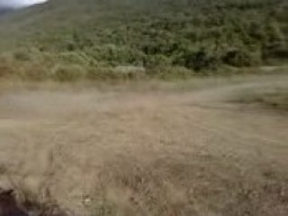 cozzano quad paul
