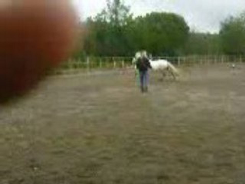 Cou de cul a la longe