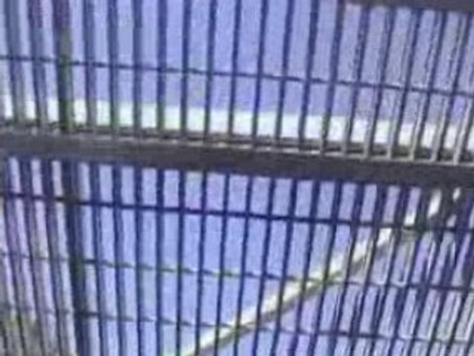 Funny free fall