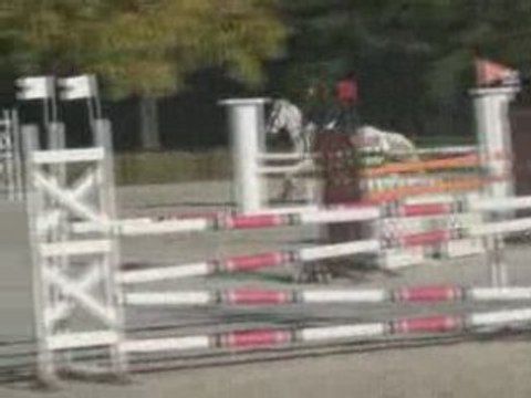 Japse d1p saint valerien