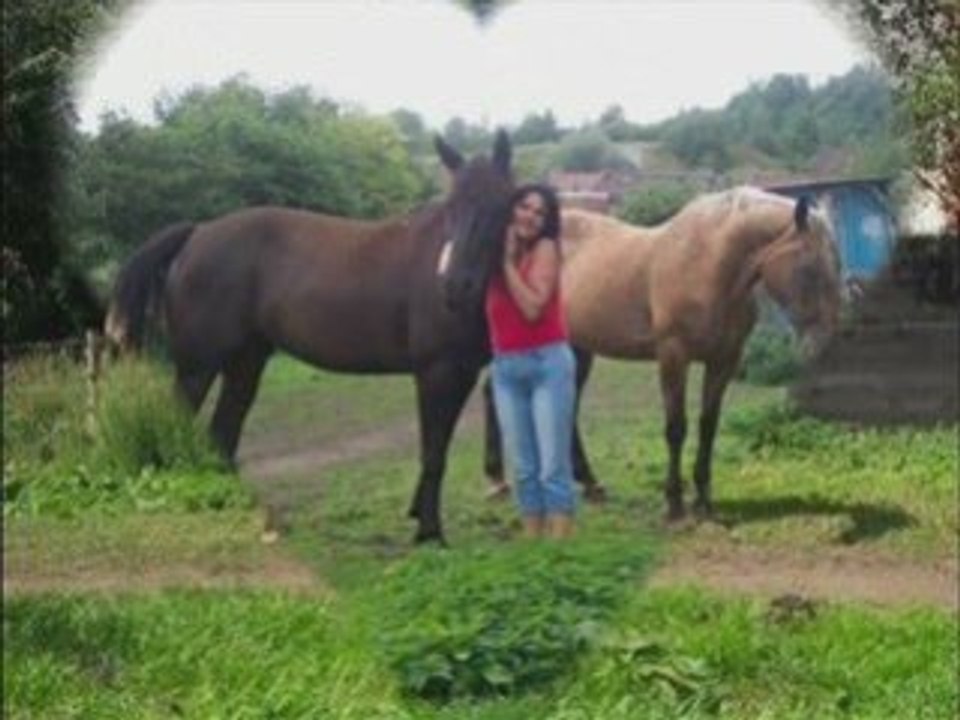 Vidéo 2 Horsevlams_0001