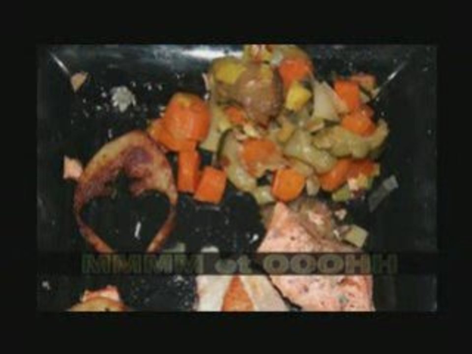 Video Camp Scout 2008 SUF ANGERS part1