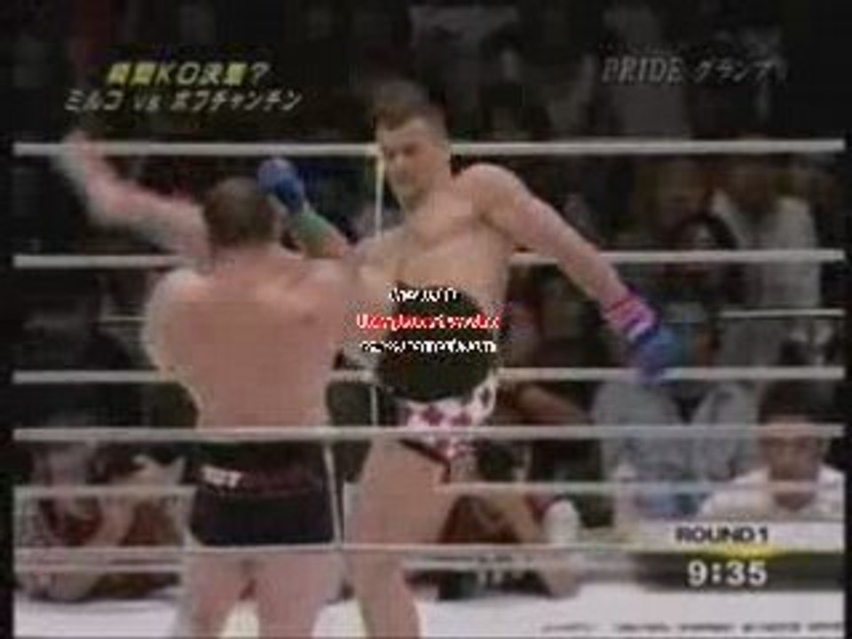 Mirko cro cop vs Igor