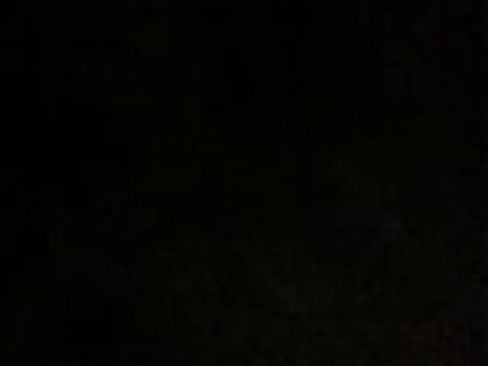 Vid-o0075