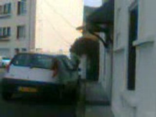 William chez camille