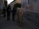 nono cheval bis