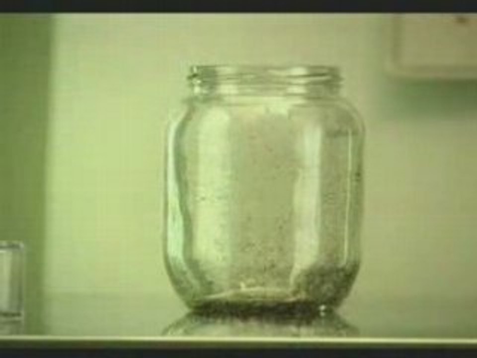 Playstation 2 - Flea Training